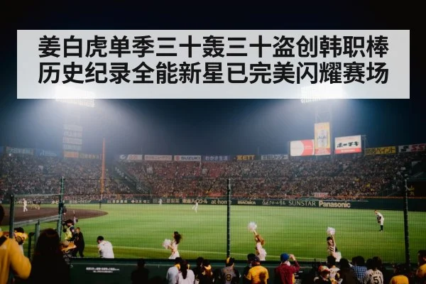 baseball stadium night game