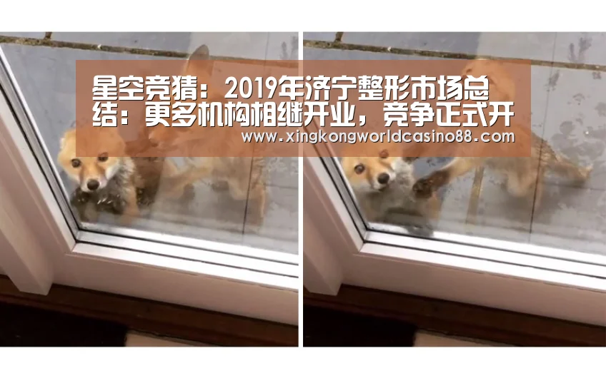 星空竞猜:2019年济宁整形市场总结:更多机构相继开业,竞争正式开启(图2) 星空竞猜
